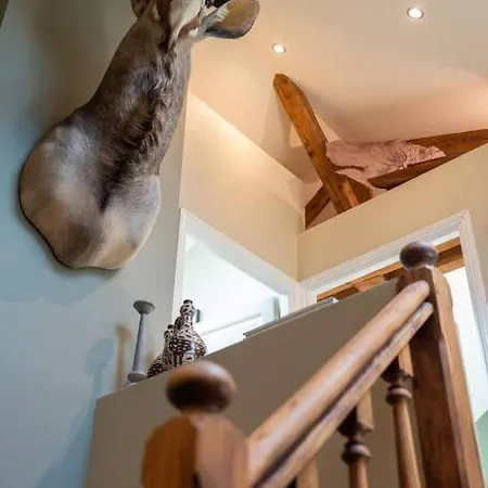 Sublime Duplex 100m2 Classee