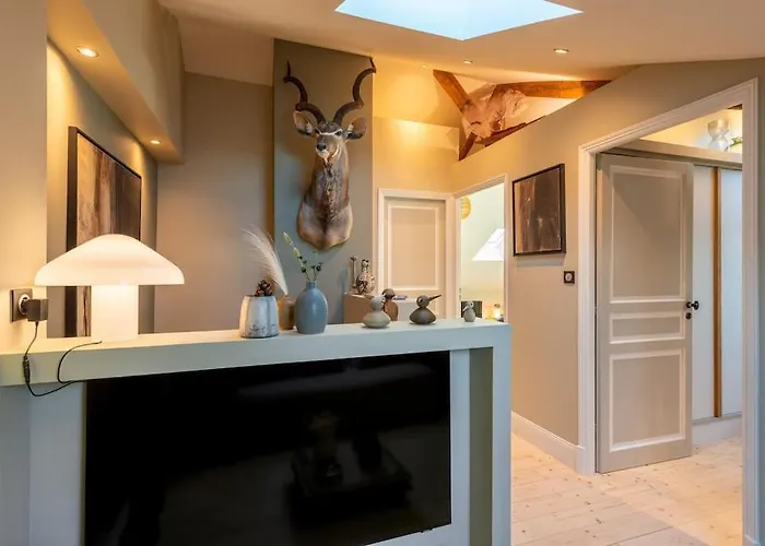 Sublime Duplex 100m2 Classee Apartment Vichy