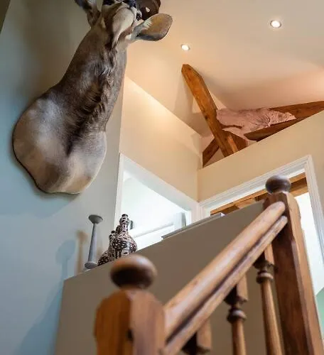 Sublime Duplex 100m2 Classee